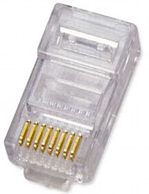 wtyk RJ45