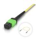 Ubiquiti OS2 MPO-12 APC Fiber Patch Cable - UACC-OFC-SA-MPMP-1M