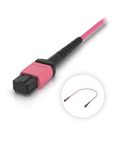 Ubiquiti OM4 MPO-12 UPC Fiber Patch Cable - UACC-OFC-MA-MPMP-0.5M