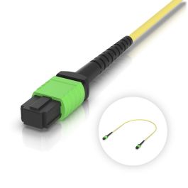 Ubiquiti OS2 MPO-12 APC Fiber Patch Cable 0.5m - OS2 MPO-12 100G Glasfaser-Patchkabel (UACC-OFC-SA-MPMP-0.5M)
